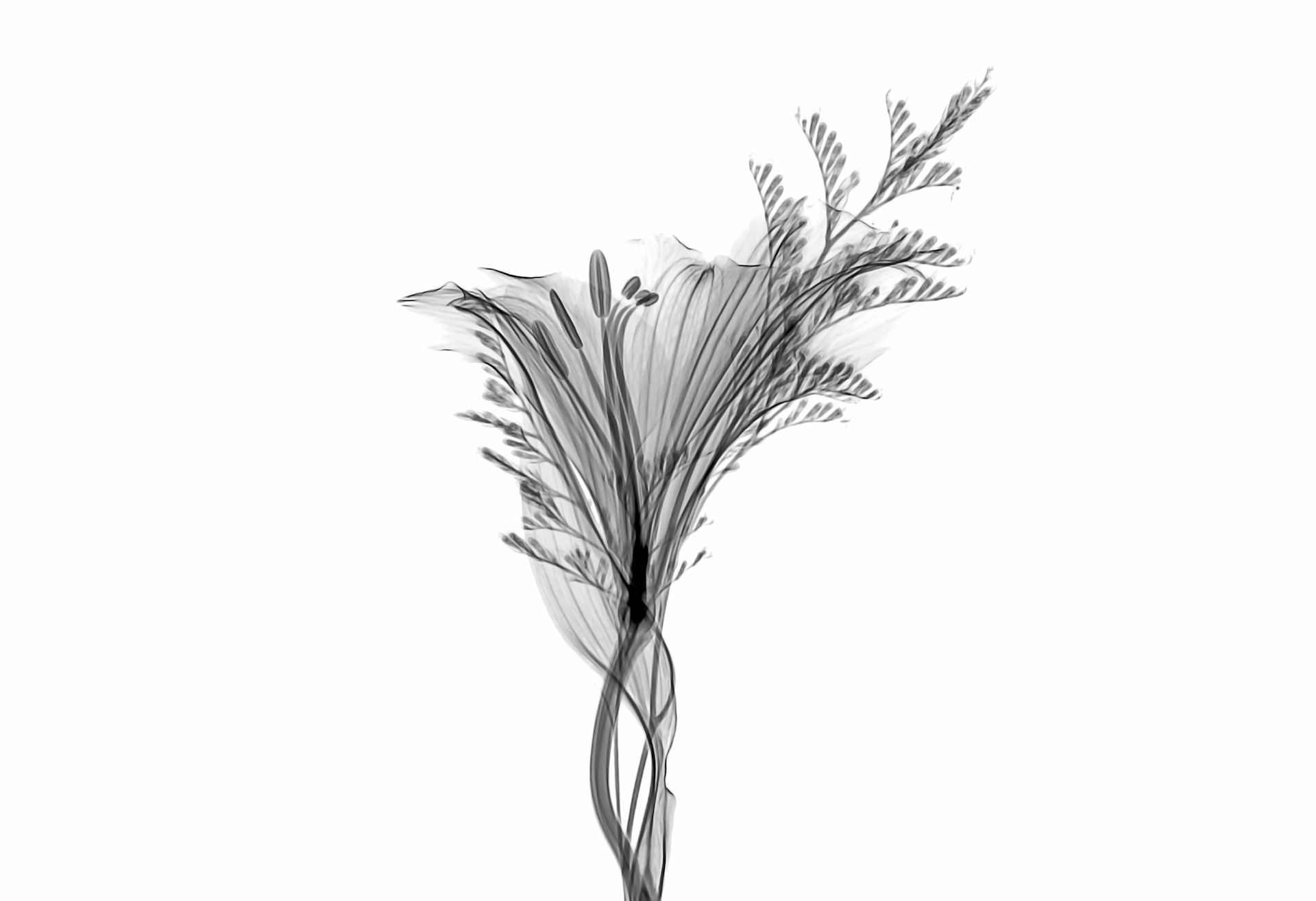 Image default